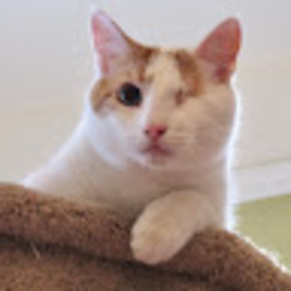 Meet your Posher, Karen - Picture 1 of 1